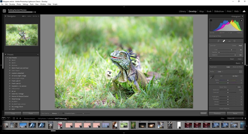 Lightroom Tips and Tricks by Michelle VanTine Photography