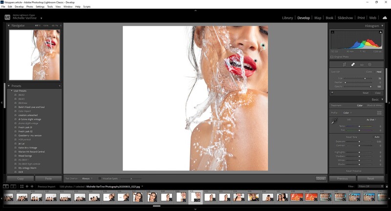 Lightroom Tips and Tricks by Michelle VanTine Photography