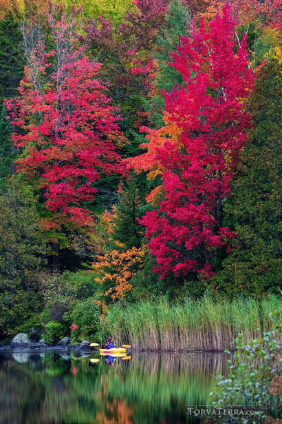 Vibrant red and golden foliage reflected in a calm lake with coniferous evergreens and a small boat in the foreground.