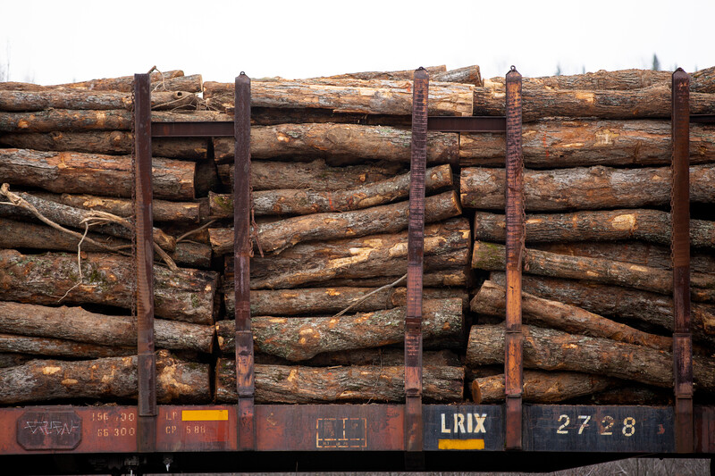 Stacked logs loaded on a railway car with rusted metal frame and visible cargo identifiers.