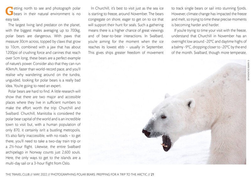 Two polar bears in snow, their heads close together looking toward the camera.