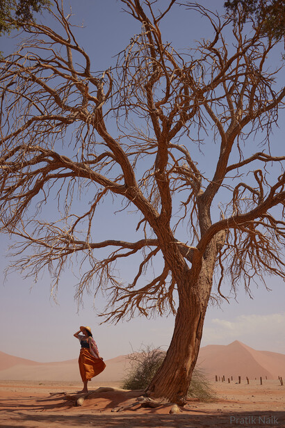 Person standing beneath a gnarled, leafless tree in an arid landscape under clear sky.