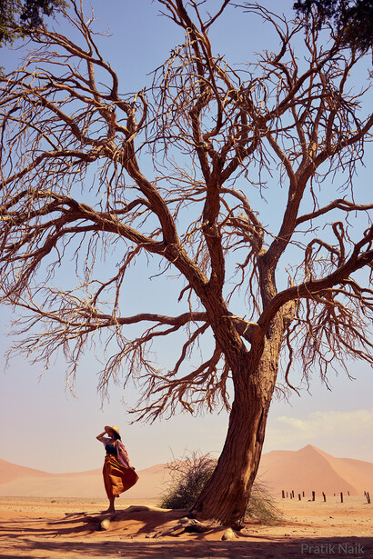 A solitary figure stands beside a gnarled, leafless tree in an arid landscape at golden hour.