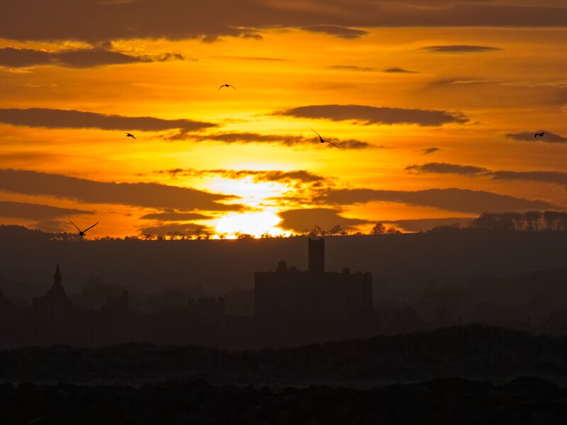 Golden sunset over a city skyline with silhouetted buildings and birds in flight.