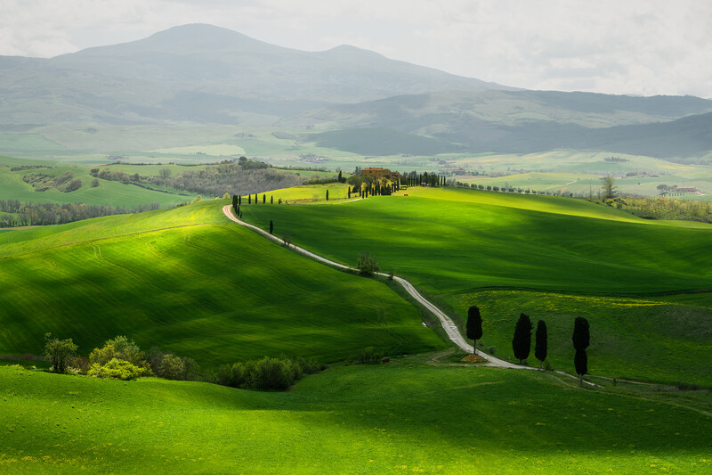 Rolling green hills in Tuscany with a villa, cypress trees, and winding road under overcast sky.