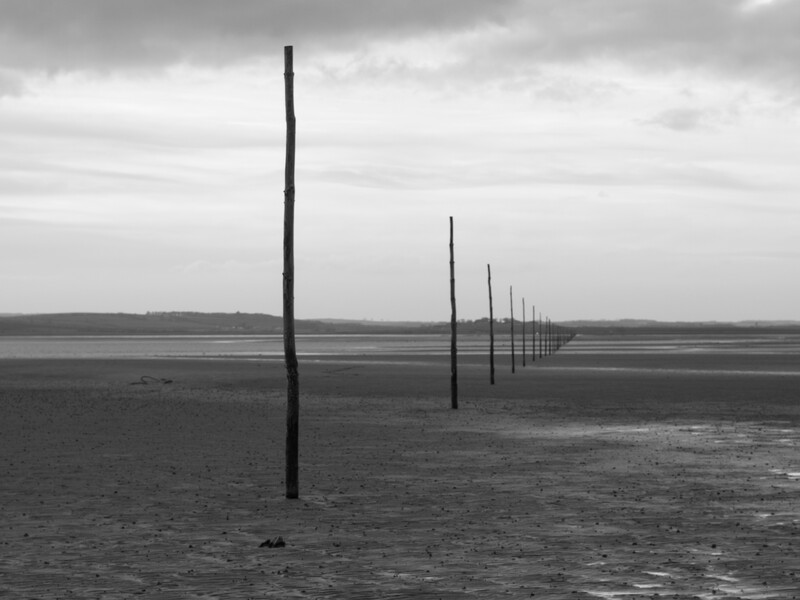 Row of wooden posts receding into the distance across a vast, flat tidal mudflat under an overcast sky.