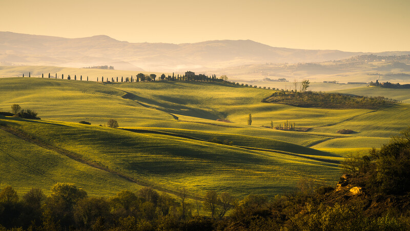 Rolling green hills with cypress tree-lined road and distant mountains in soft golden light.