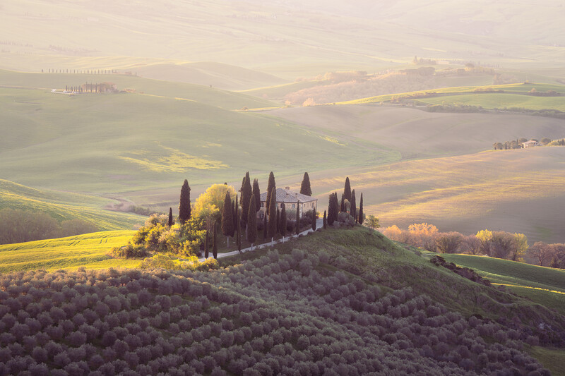 Tuscan villa with cypress trees on a hilltop surrounded by rolling farmland under golden light.