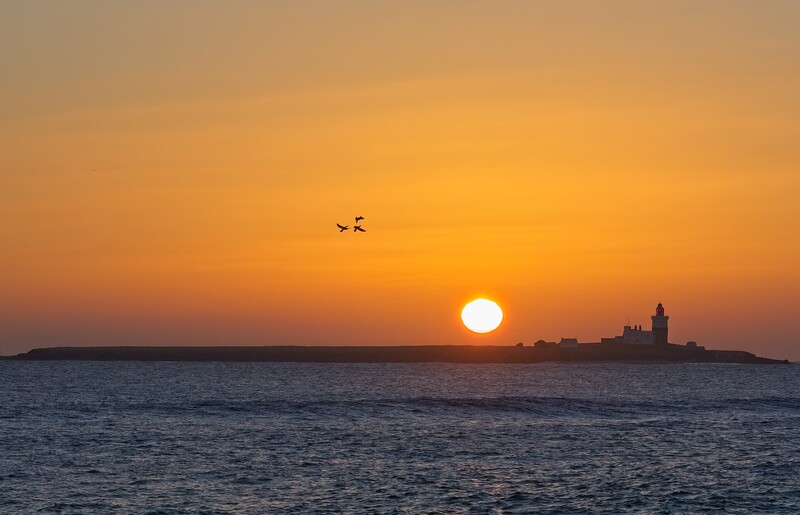 Golden sunset over ocean with silhouetted lighthouse on distant island and birds flying overhead.