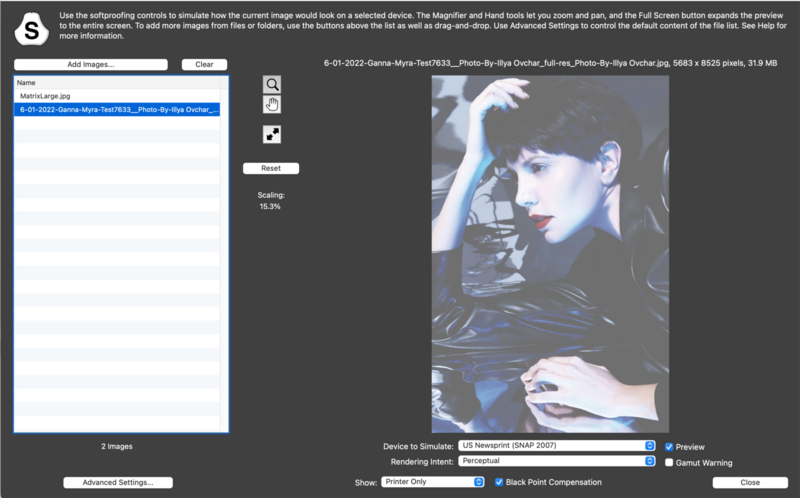 Screenshot of photo editing software with portrait image displayed in main canvas.