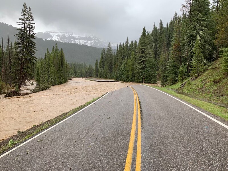 Empty asphalt highway with yellow center lines stretching toward snow-capped mountains, bordered by dense coniferous forest.