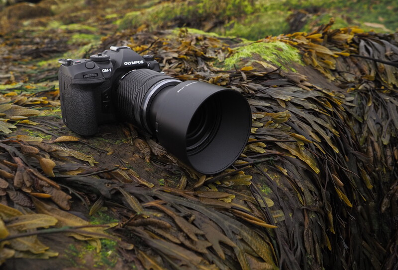 A mirrorless camera with telephoto lens resting on a moss-covered log in a forest setting.