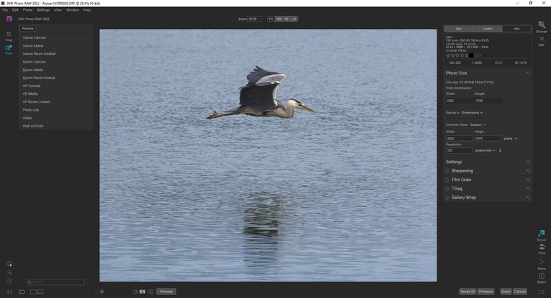 Great blue heron in flight over calm water with its reflection visible below.