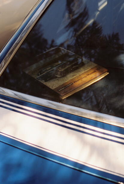 Reflection of trees and sky in an airplane window with blue and white fuselage stripes visible.