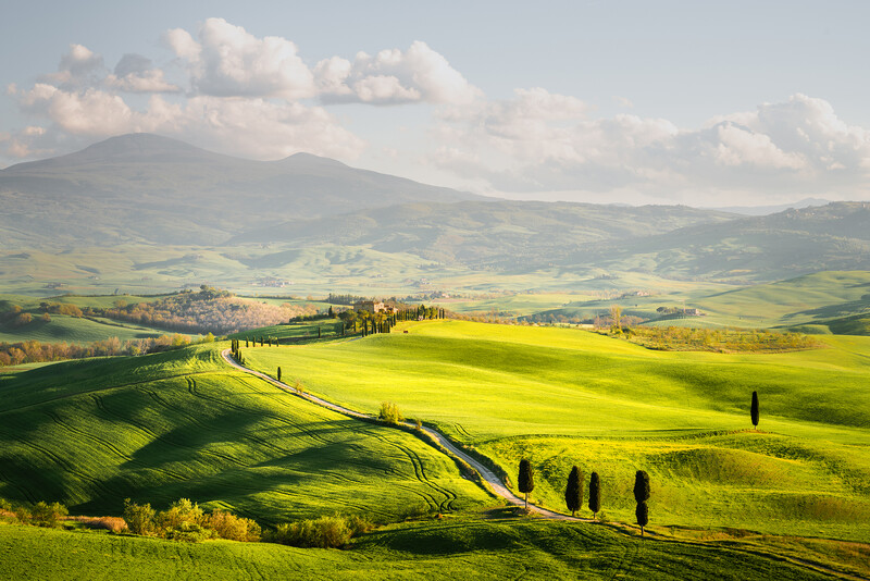 Rolling green hills with cypress trees and distant mountain under dramatic cloud sky.