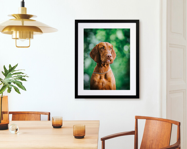 Framed portrait of a brown dog with soft green background bokeh.