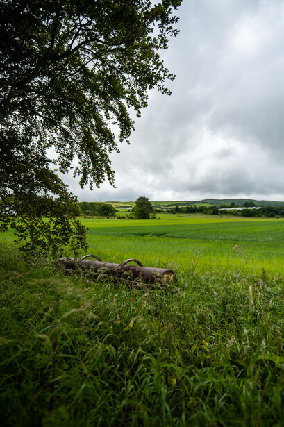 Abandoned farm equipment nestled in tall grass beneath a leafy tree branch, with rolling green fields and cloudy sky beyond.