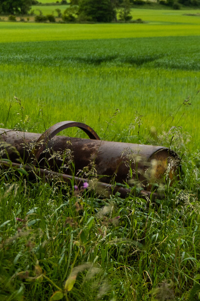 Rusted metal pipe lying in tall grass with green field in soft-focus background.