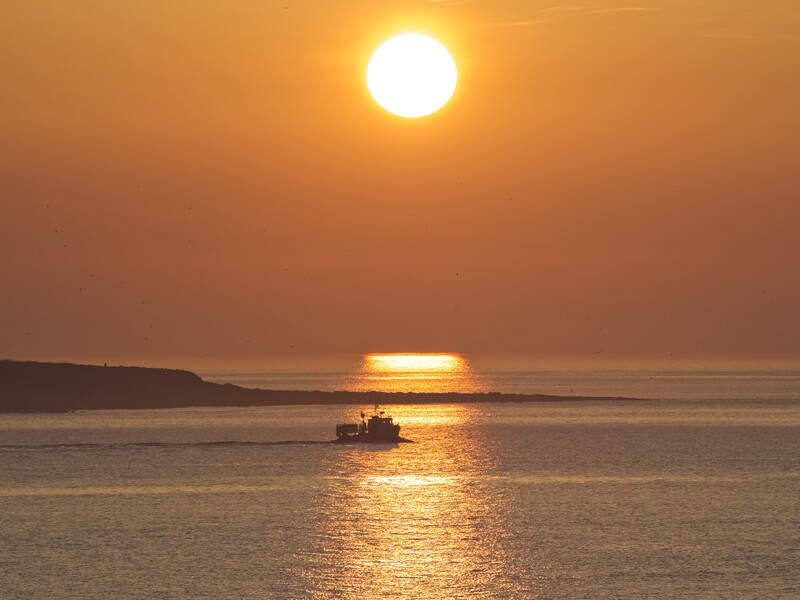 Fishing boat silhouetted against golden sunlight reflecting on calm ocean water at sunset.