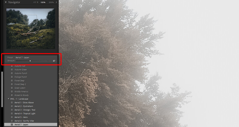 Screenshot of photo editing software showing Adjustment panel with preset folders and a misty forest image in the background.