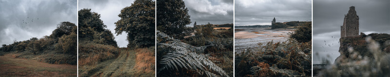 Diptych of moody coastal landscape with ferns, trees, and ruined stone structure overlooking water.