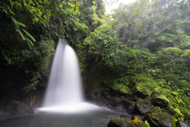 Waterfall cascades into a pool surrounded by dense, moss-covered vegetation and lush tropical foliage.