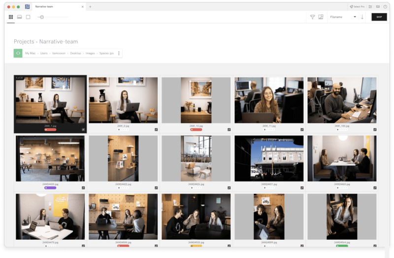 Screenshot of a photo management interface displaying a grid of 15 interview or documentary-style images.