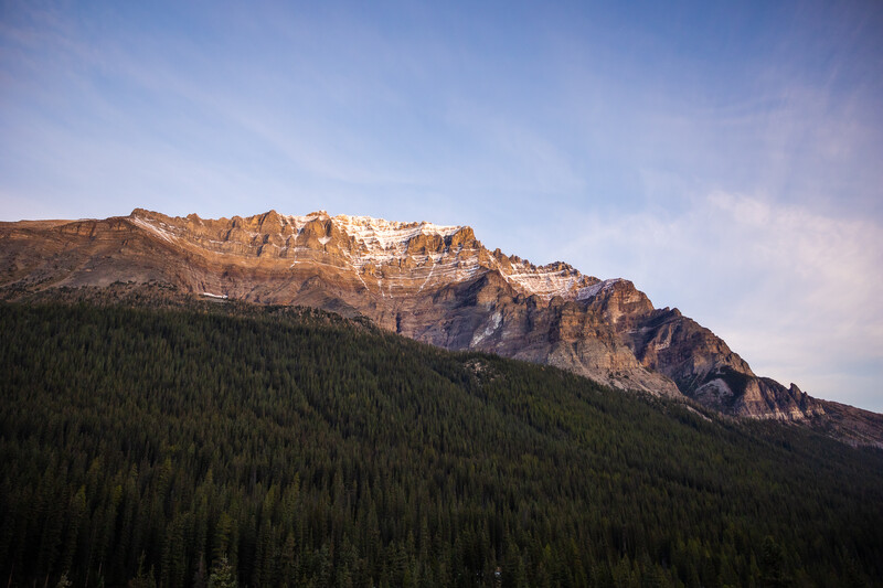 Snow-capped mountain peak rising above a dense coniferous forest under blue sky.