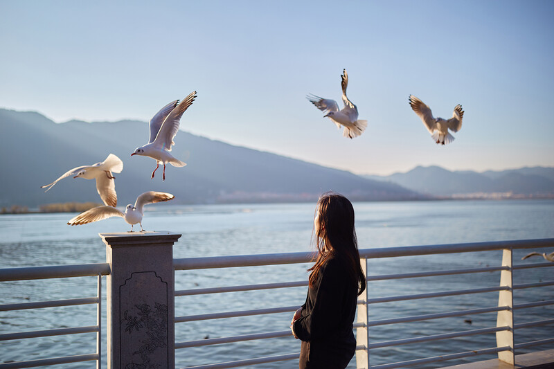 Woman with long dark hair standing at a waterfront railing, photographing seagulls in flight over calm water with mountains in the background.