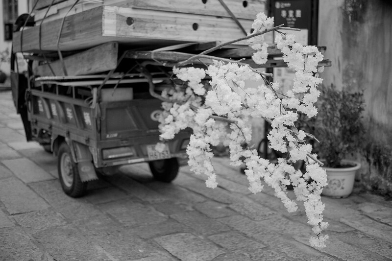 Black and white photograph of delicate white flowers cascading over a utility vehicle parked on a street.