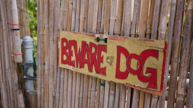 Weathered wooden "Beware Dog" sign with red lettering nailed to a wooden fence.