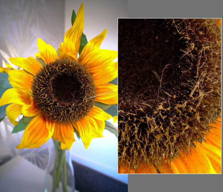 Close-up of sunflower center showing detailed seed pattern and disk florets.