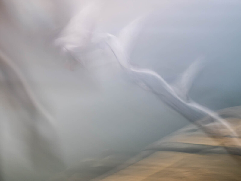 Close-up of flowing white fabric with soft, blurred folds and warm golden tones in background.