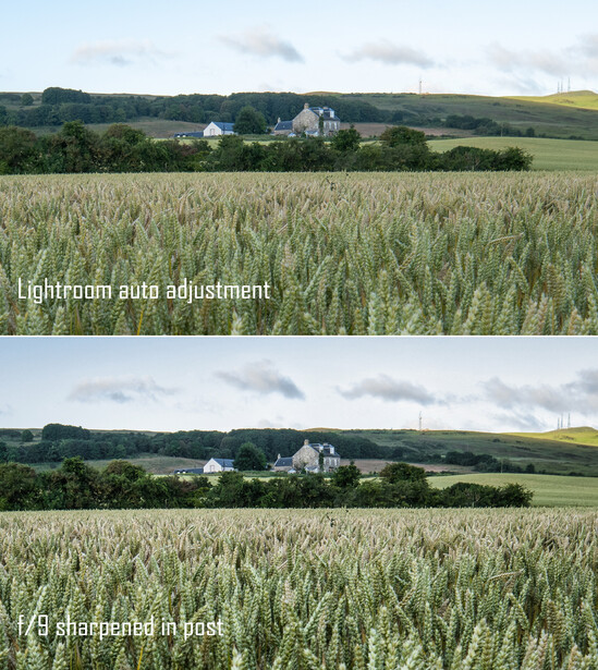 Side-by-side comparison of wheat field processing: Lightroom auto adjustment versus F2.0 sharpened in-place.
