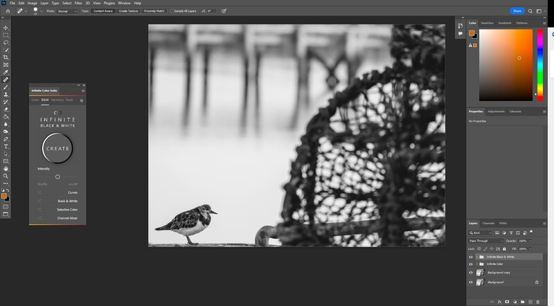 Small shorebird standing on sand with blurred fishing net and bokeh background.