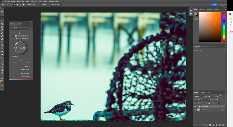 Small shorebird standing on sand with blurred fishing net and bokeh background.