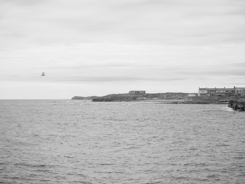 Coastal landscape with rocky headland and waterfront buildings under overcast sky.