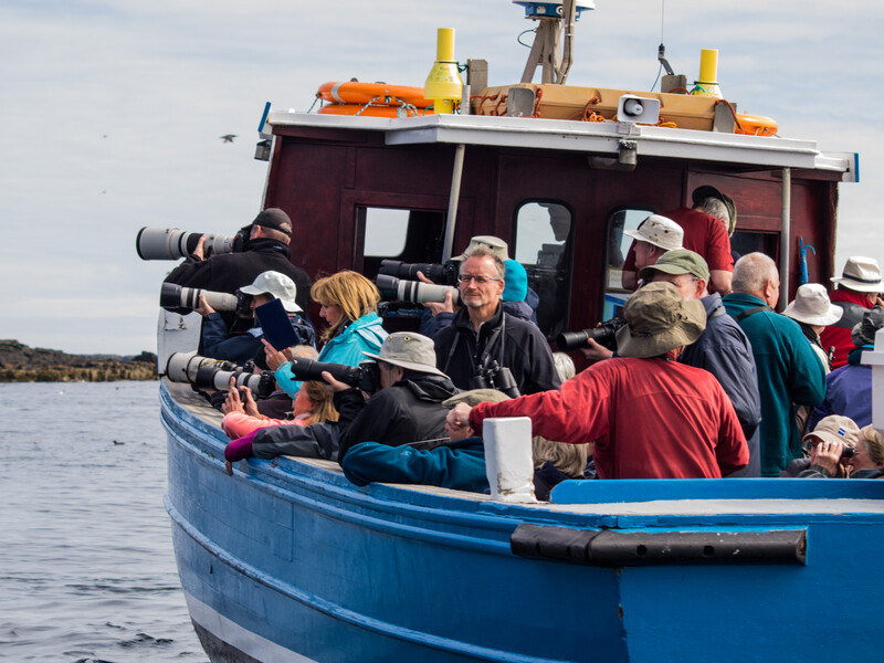 Group of photographers and observers aboard a blue and red fishing vessel with professional camera equipment and telephoto lenses.