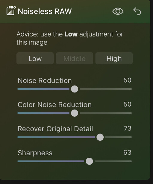 Screenshot of Noiseless RAW noise reduction panel showing adjustment sliders for noise reduction, color noise reduction, detail recovery, and sharpness.