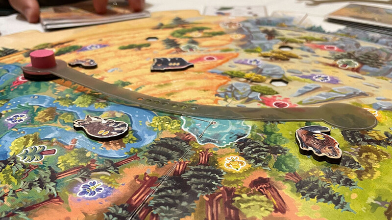 Board game in progress with game pieces positioned on colorful illustrated terrain map.