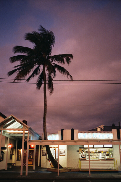 Tall palm tree silhouetted against a vibrant purple twilight sky above illuminated storefronts.