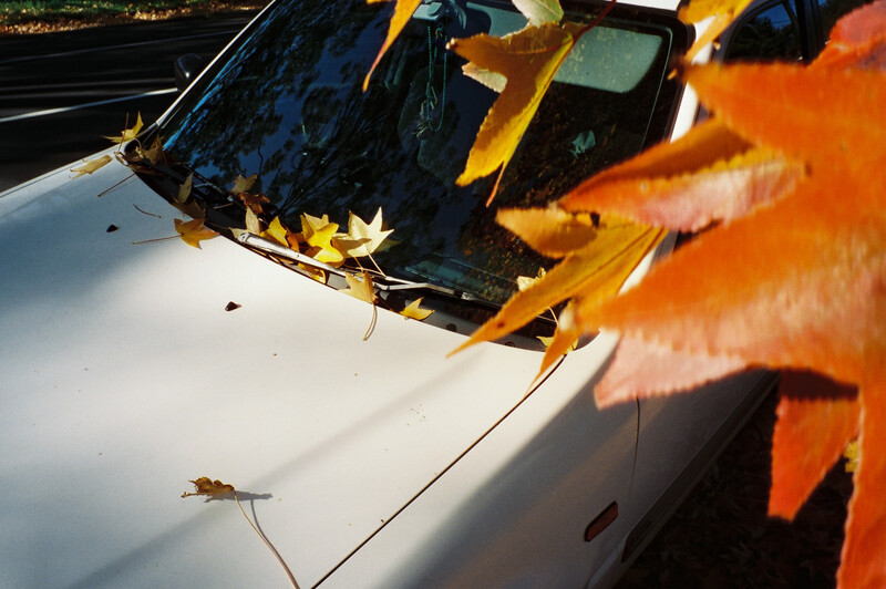 Yellow toy car with white roof positioned at angle showing windshield damage from falling leaves.