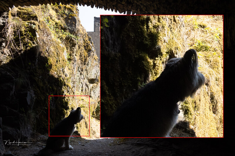 Black cat silhouetted against moss-covered stone walls and bright daylight in a narrow passage.