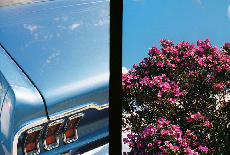 Split composition pairing a blue car's chrome taillight with vibrant magenta flowers against a blue sky.