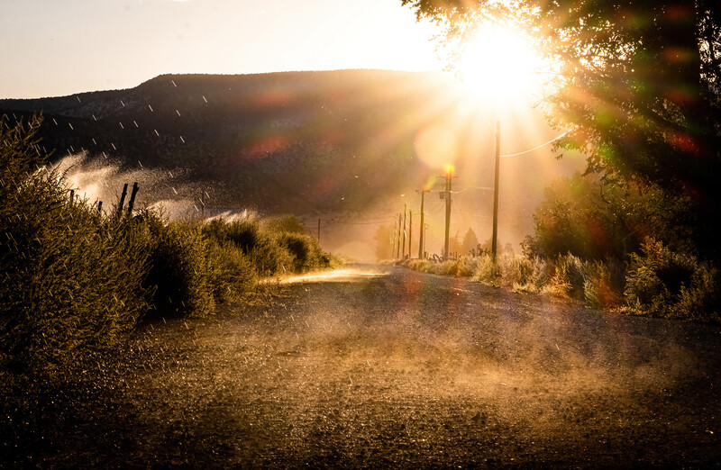 Dusty rural road lined with utility poles stretching toward distant hills at golden hour sunrise or sunset.