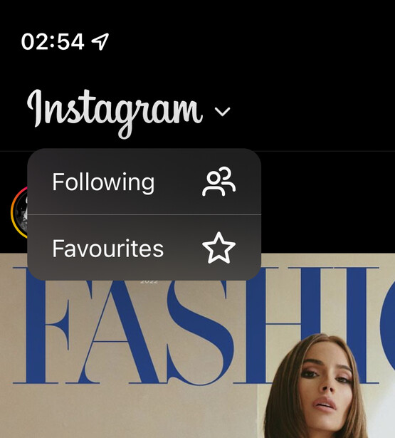 Screenshot of Instagram's Following and Favourites menu dropdown.
