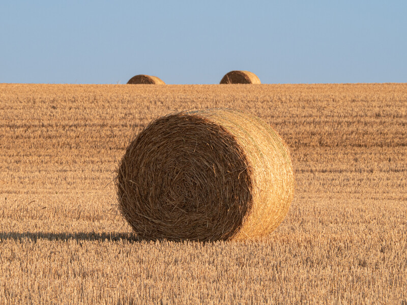 Round straw bails