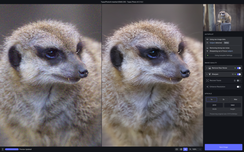 Side-by-side comparison of meerkat portrait showing before and after image editing adjustments.