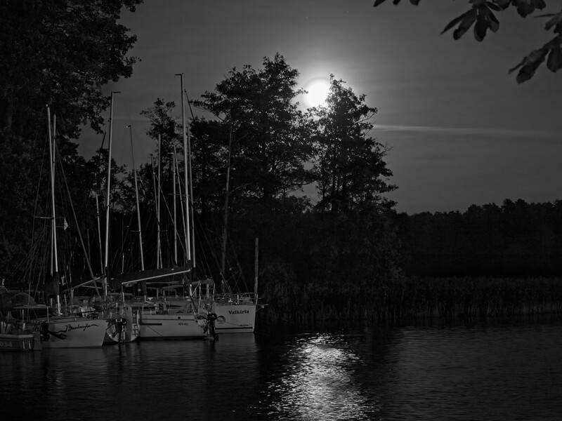 Sailboats moored at night under moonlight with trees reflected in calm water.