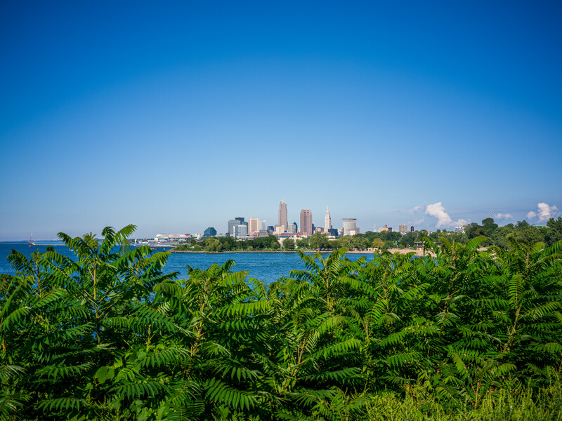 Cityscape with blue water and green foliage in foreground, clear sky overhead.
